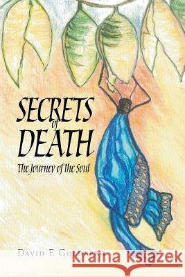 Secrets of Death: The Journey of the Soul David E. Goldberg 9781683480211 Page Publishing, Inc. - książka