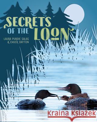 Secrets of the Loon Charles Dayton Laura Purdie Salas 9781681341583 Minnesota Historical Society Press - książka