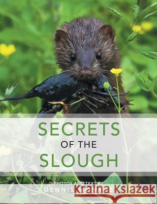 Secrets of the Slough Dennis Monroe 9781524602239 Authorhouse - książka