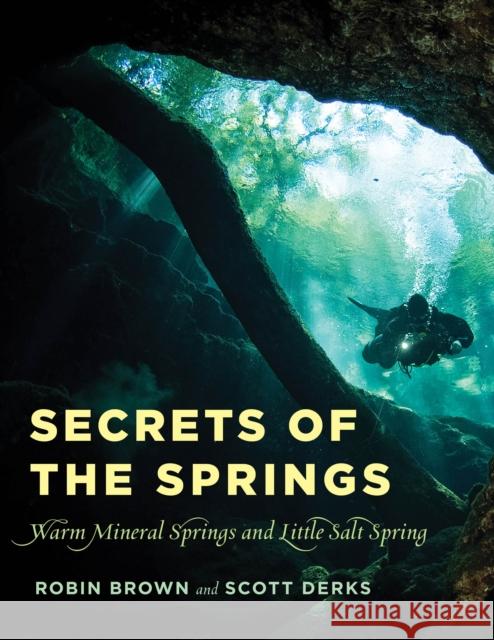 Secrets of the Springs: Warm Mineral Springs and Little Salt Spring Robin Brown Scott Derks 9781683340713 Pineapple Press - książka