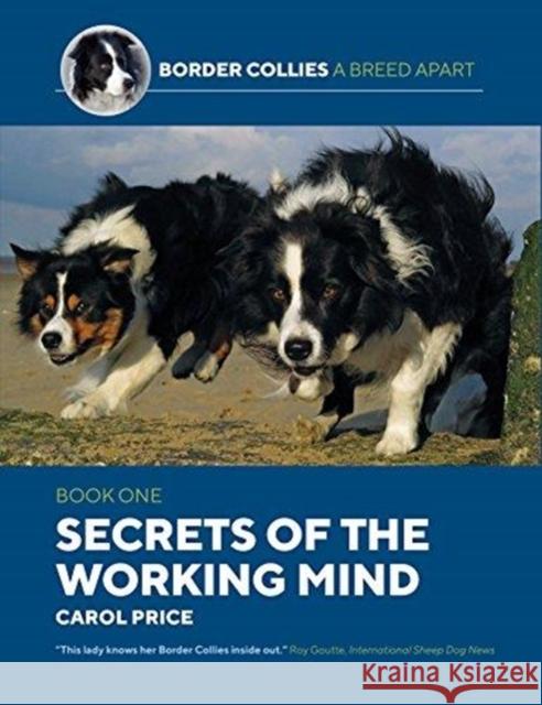 Secrets Of The Working Mind Carol Price 9781910488461 Corpus Publishing Limited - książka