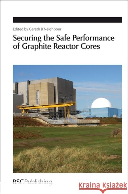 Securing the Safe Performance of Graphite Reactor Cores Gareth B Neighbour 9781847559135  - książka
