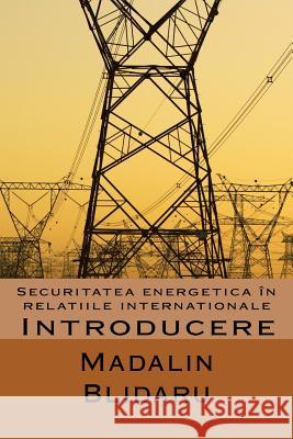 Securitatea Energetica in Relatiile Internationale: Introducere Madalin Blidaru 9781724665539 Createspace Independent Publishing Platform - książka
