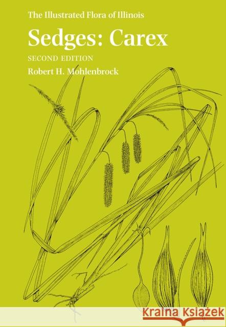 Sedges: Carex Robert H. Mohlenbrock 9780809335503 Southern Illinois University Press - książka