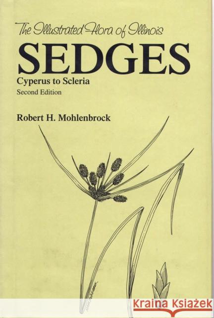 Sedges: Cyperus to Scleria Mohlenbrock, Robert H. 9780809323586 Southern Illinois University Press - książka