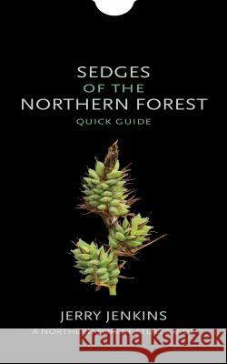 Sedges of the Northern Forest: Quick Guide Jerry Jenkins 9781501727092 Comstock Publishing - książka