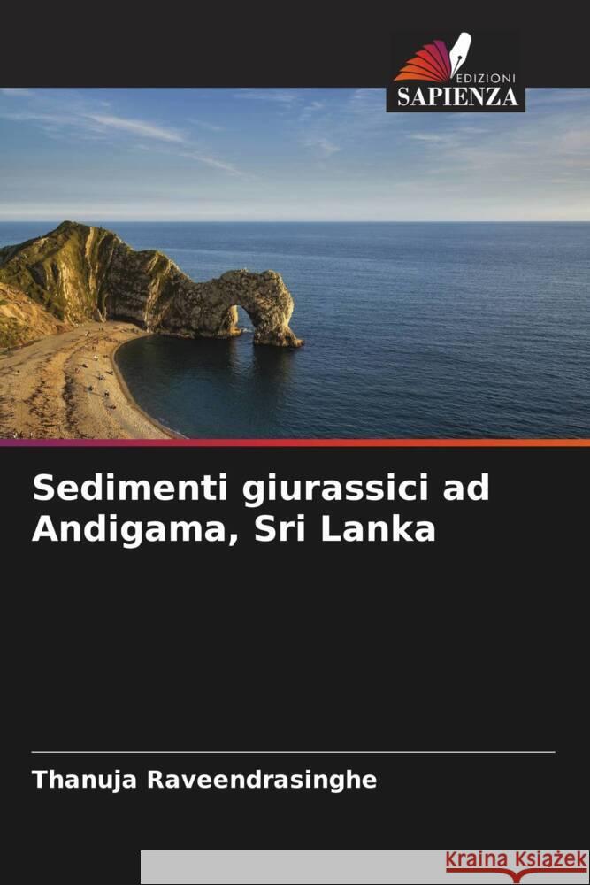 Sedimenti giurassici ad Andigama, Sri Lanka Raveendrasinghe, Thanuja 9786205065518 Edizioni Sapienza - książka