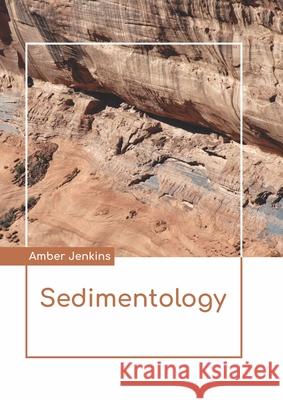 Sedimentology Amber Jenkins 9781641726429 Larsen and Keller Education - książka