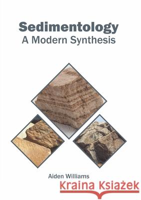 Sedimentology: A Modern Synthesis Aiden Williams 9781682867884 Syrawood Publishing House - książka