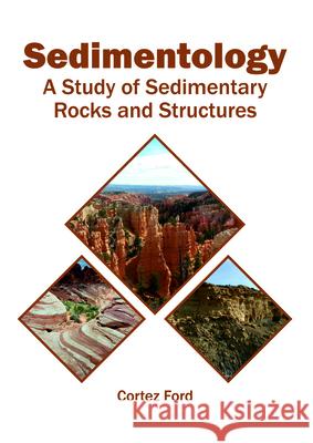 Sedimentology: A Study of Sedimentary Rocks and Structures Cortez Ford 9781682866061 Syrawood Publishing House - książka