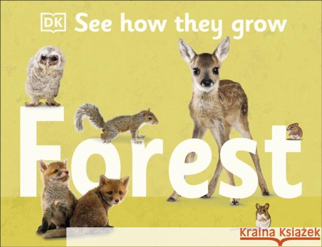 See How They Grow Forest DK 9780241533420 Dorling Kindersley Ltd - książka