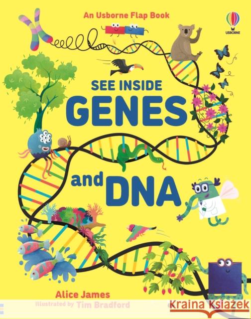 See Inside Genes and DNA Alice James 9781474943628 Usborne Publishing Ltd - książka