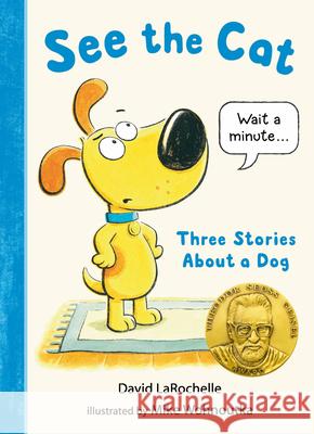 See the Cat: Three Stories about a Dog David Larochelle Mike Wohnoutka 9781536204278 Candlewick Press (MA) - książka