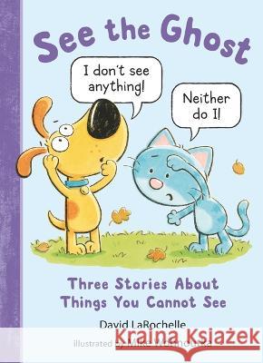 See the Ghost: Three Stories about Things You Cannot See David Larochelle Mike Wohnoutka 9781536219821 Candlewick Press (MA) - książka