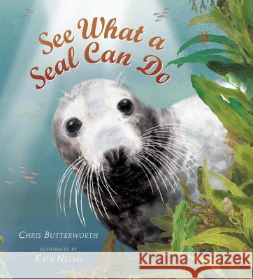 See What a Seal Can Do Chris Butterworth Kate Nelms 9780763665746 Candlewick Press (MA) - książka