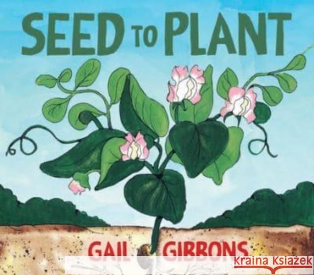 Seed to Plant Gail Gibbons 9780823454440 Holiday House Inc - książka