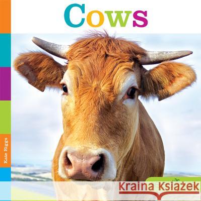 Seedlings: Cows Kate Riggs 9781628323924 Creative Paperbacks - książka