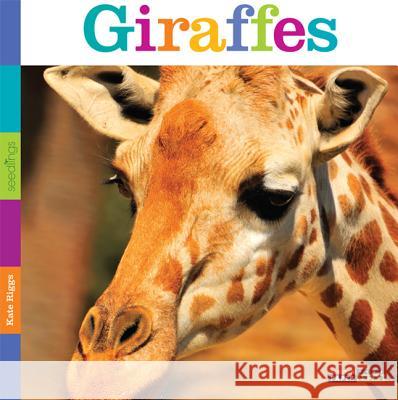 Seedlings: Giraffes Kate Riggs 9780898127836 Creative Paperbacks - książka