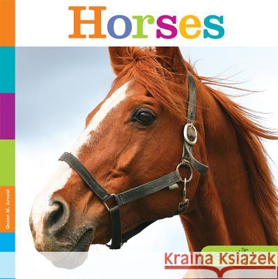 Seedlings: Horses Quinn M. Arnold 9781628323948 Creative Paperbacks - książka