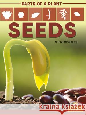 Seeds Alicia Rodriguez 9781427140685 Crabtree Roots - książka