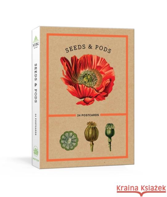 Seeds and Pods: 24 Postcards The New York Botanical Garden 9781524759056  - książka