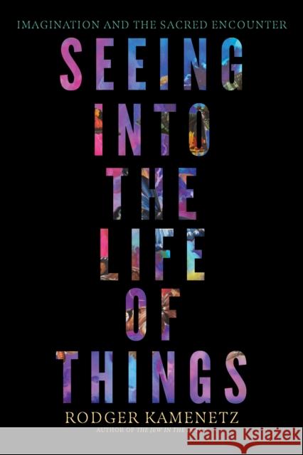 Seeing into the Life of Things: Imagination and the Sacred Encounter Rodger Kamenetz 9781958972915 Monkfish Book Publishing - książka