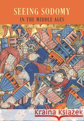 Seeing Sodomy in the Middle Ages Robert Mills 9780226169125 University of Chicago Press - książka