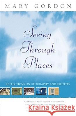 Seeing Thjrough Places GORDON 9780684862552 Simon & Schuster - książka