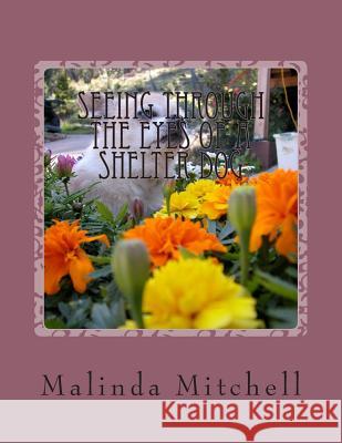 Seeing Through The Eyes of a Shelter Dog Mitchell, Malinda 9781500870263 Createspace - książka