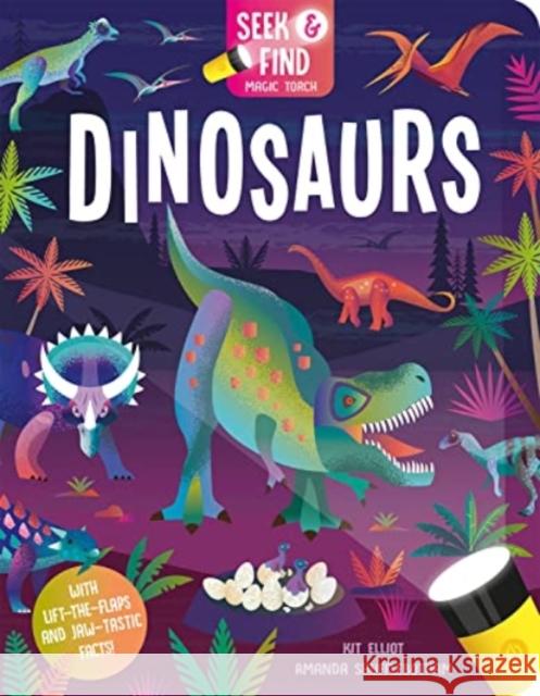 Seek and Find Dinosaurs Kit Elliot 9781801052832 Imagine That Publishing Ltd - książka