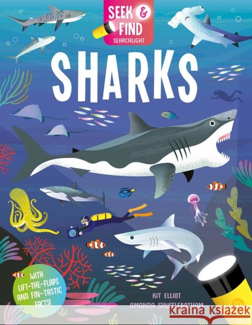 Seek and Find Sharks Kit Elliot 9781801052849 Imagine That Publishing Ltd - książka