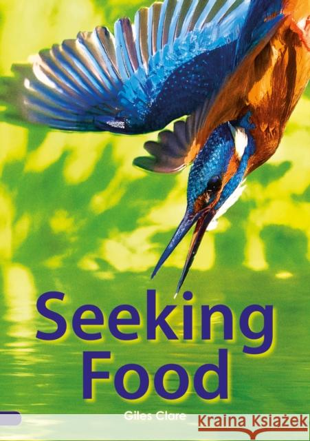 Seeking Food (Set 05) Clare, Giles 9780702327155 Scholastic - książka