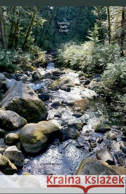 Seeking Safe Cover J Gordon Monson   9798223154181 J. Gordon Monson - książka