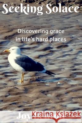Seeking Solace: Discovering grace in life's hard places Young, Glynn 9781530782963 Createspace Independent Publishing Platform - książka