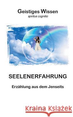 Seelenerfahrung: Erzählung aus dem Jenseits Brand, Mike 9783738632972 Books on Demand - książka