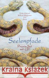 Seelenpfade Praxis-Set, m. Audio-CD : Schamanische Meditationen zur Heilung von Körper und Geist Gabriel, Vicky; Anderson, William 9783866630772 Arun-Verlag - książka