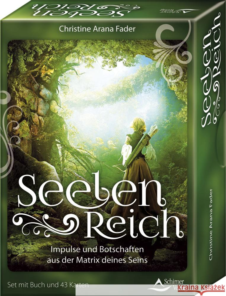 Seelenreich - Impulse und Botschaften aus der Matrix deines Seins Fader, Christine Arana 9783843492379 Schirner - książka