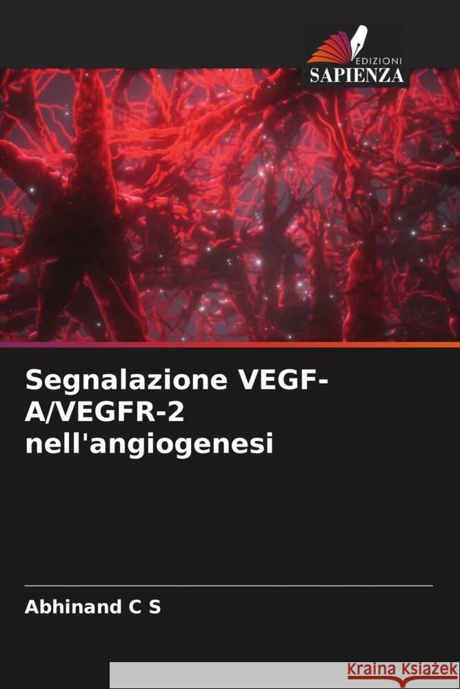 Segnalazione VEGF-A/VEGFR-2 nell'angiogenesi C S, Abhinand 9786204601274 Edizioni Sapienza - książka