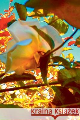 Segredadas Em Voz Alta Brand?o Beto 9786500758214 Clube de Autores - książka