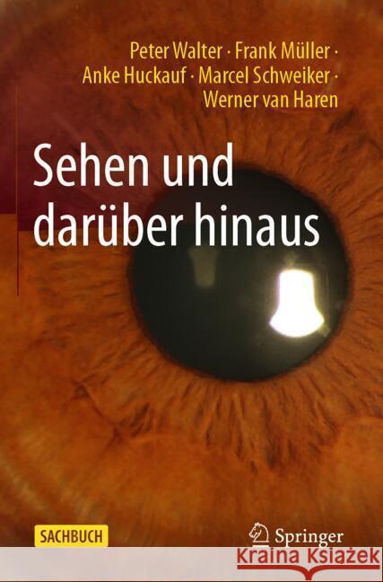 Sehen Und Dar?ber Hinaus Peter Walter Frank M?ller Anke Huckauf 9783662692493 Springer - książka