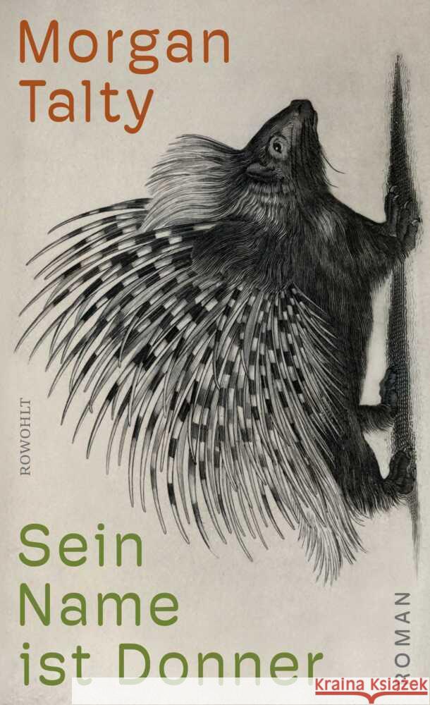 Sein Name ist Donner Talty, Morgan 9783498007034 Rowohlt, Hamburg - książka