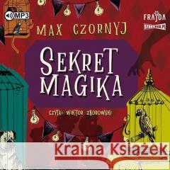 Sekret magika audiobook Max Czornyj 9788382801378 Storybox - książka