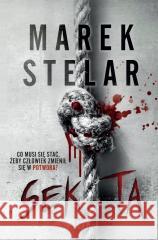 Sekta Marek Stelar 9788384029398 Filia - książka