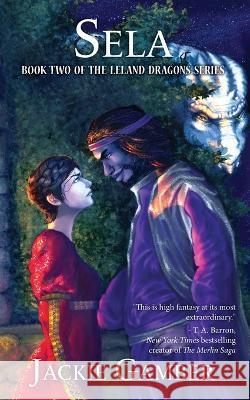 Sela Jackie Gamber Ellen K Gamber  9781736023839 Big Imagine - książka