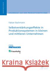 Selbstverstärkungseffekte in Produktionssystemen in kleinen und mittleren Unternehmen : Diss. Bachmann, Fabian 9783863591359 Apprimus Verlag - książka
