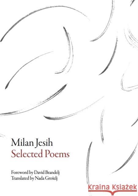Selected Poems Jesih, Milan 9781628971101 John Wiley & Sons - książka