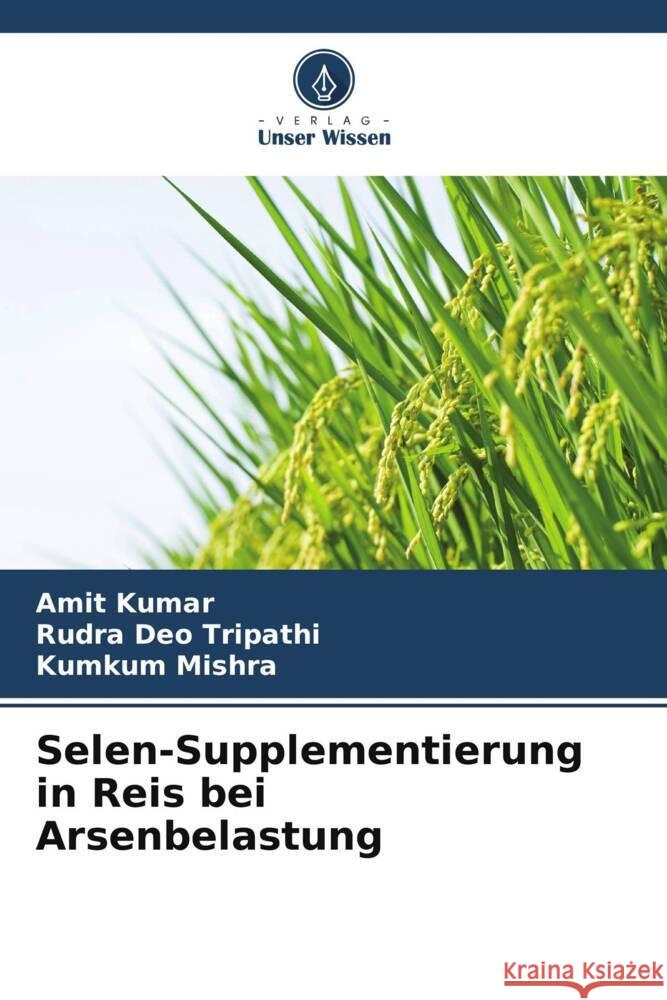 Selen-Supplementierung in Reis bei Arsenbelastung Kumar, Amit, Tripathi, Rudra Deo, Mishra, Kumkum 9786209358081 Verlag Unser Wissen - książka