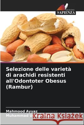 Selezione delle variet? di arachidi resistenti all'Odontoter Obesus (Rambur) Mahmood Ayyaz Muhammad Usman Malik 9786209633386 Edizioni Sapienza - książka
