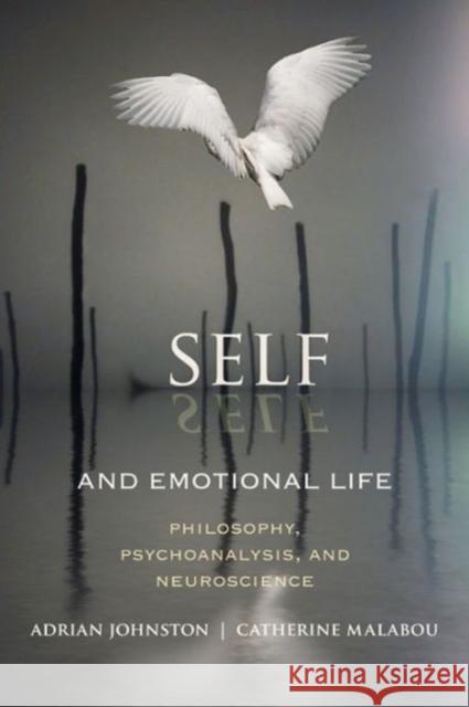 Self and Emotional Life: Philosophy, Psychoanalysis, and Neuroscience Johnston, Adrian 9780231158305  - książka