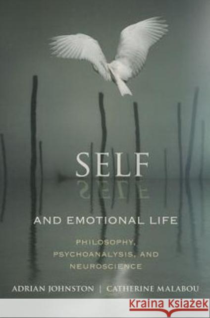 Self and Emotional Life: Philosophy, Psychoanalysis, and Neuroscience Johnston, Adrian 9780231158312  - książka